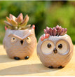 Ceramic Owl Flower Pot Garden Office Decoration Succulent Mini Owl Flowerpot Cute Animal Flowerpot Cactus Plants Planters