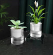 Self Watering Flowerpot Indoor Succulent Hydroponic Plants Pot Mini Planter Pots Fish Tank Tabletop Flower Pot Home Bonsai Decor