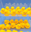 Kids Bath Duck Toys 50 PCS Ducks Squeak and Float Duckies Baby Shower Toy Party Decoration for Toddlers Boys Girls