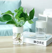 Mini Hydroponic Flower Pot Home Vase Decor Transparent Imitation Glass Soilless Plant Pots Green Plants Pot For Home Decoration