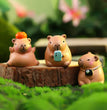 12pcs New Capybara Blind Box Simulation Mini Capibara Action Figures Doll Children Birthday Christmas Gift