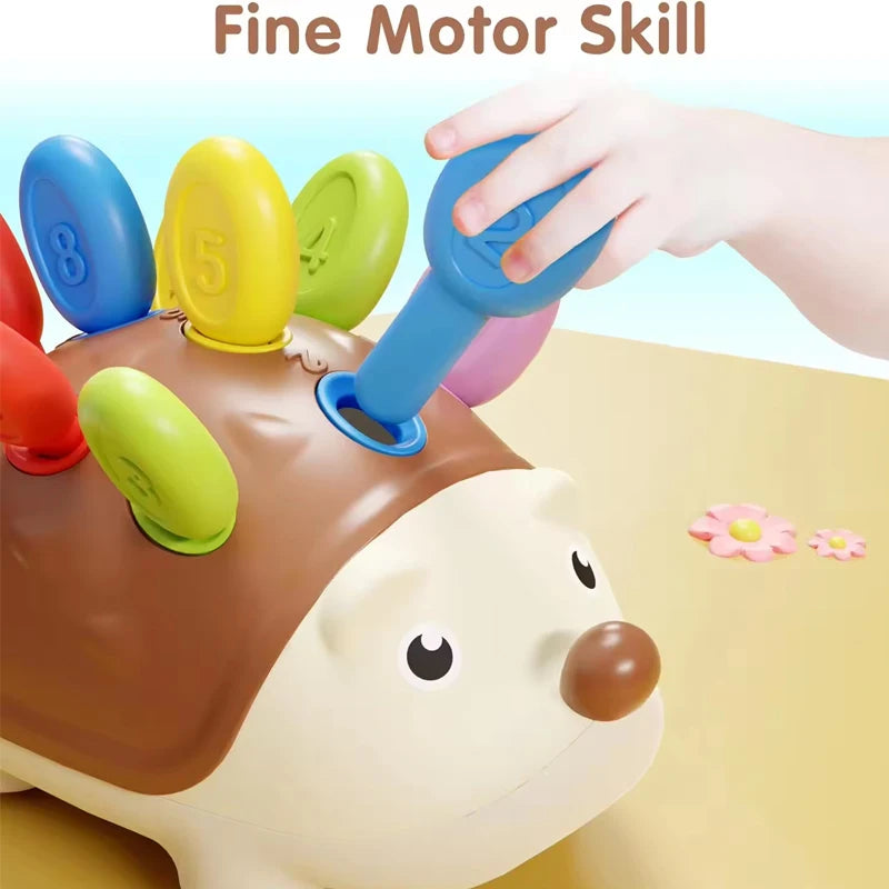 Montessori Educational Toy Fine Motor Toys for Toddlers 1-3 Hedgehog Learning Counting & Sorting Development Sensory Gifts