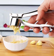 Stainless Steel Multifunction Garlic Press Crusher Kitchen Cooking Ginger Squeezer Masher Handheld Ginger Mincer Tools Garlic