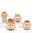 Ceramic Owl Flower Pot Garden Office Decoration Succulent Mini Owl Flowerpot Cute Animal Flowerpot Cactus Plants Planters