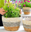 Handmade Woven Planter Basket Laundry Storage Decorative Basket Straw Wicker Rattan Seagrass Garden Flower Pot Storage Basket