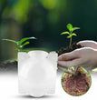 10Pcs Plant Growbox Grow Pots Reusable Propagation Root Growing Box Cuttings Grafting Gardening Seedling Pot Rooting Ball