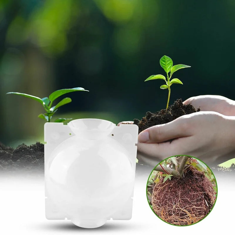 10Pcs Plant Growbox Grow Pots Reusable Propagation Root Growing Box Cuttings Grafting Gardening Seedling Pot Rooting Ball