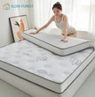 New Class A Knitted Embroidery Latex Mattress with Memory Foam and High Density Support for a Comfortable Sleep Tatami Mat