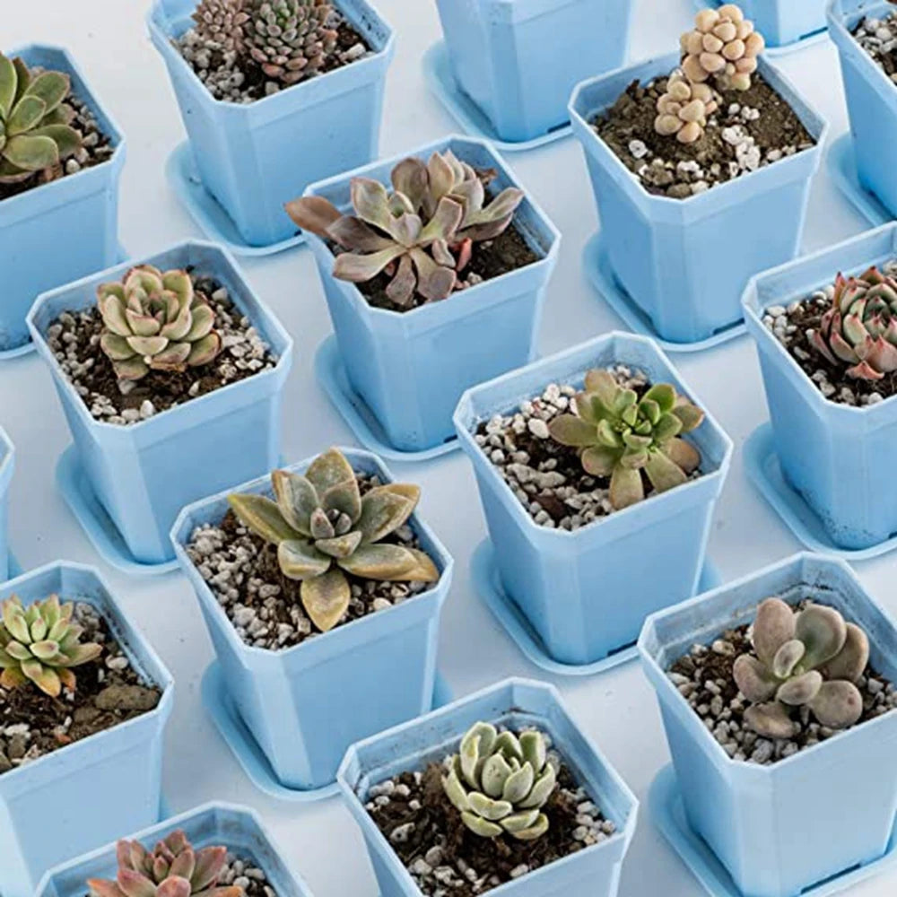 10PCS Gardening Mini Small Square Pot Flower Pot Succulent Pot Little Black Square Plastic Pot Seedling Tray Containe