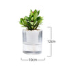 Self Watering Flowerpot Indoor Succulent Hydroponic Plants Pot Mini Planter Pots Fish Tank Tabletop Flower Pot Home Bonsai Decor