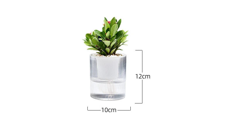 Self Watering Flowerpot Indoor Succulent Hydroponic Plants Pot Mini Planter Pots Fish Tank Tabletop Flower Pot Home Bonsai Decor