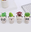 1pc Ceramic Flowerpot Mini Cat Cartoon Cute Plant Desktop Potted Plant Pot DIY Decorate Toys Science Education School Gifts