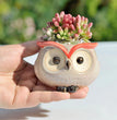 Ceramic Owl Flower Pot Garden Office Decoration Succulent Mini Owl Flowerpot Cute Animal Flowerpot Cactus Plants Planters