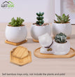 14 Style Round Square Flower Pots Planter Bamboo Tray Wood Holder Home Decor Gardening Supply Anti-Fade Simple Elegant Design