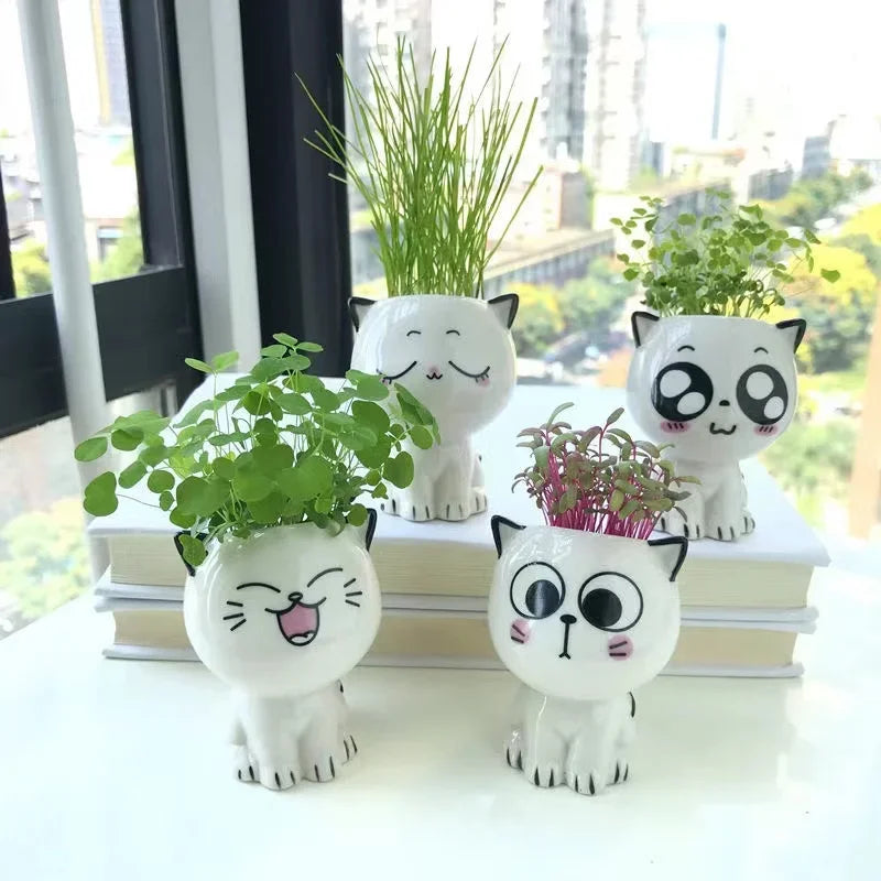 1pc Ceramic Flowerpot Mini Cat Cartoon Cute Plant Desktop Potted Plant Pot DIY Decorate Toys Science Education School Gifts