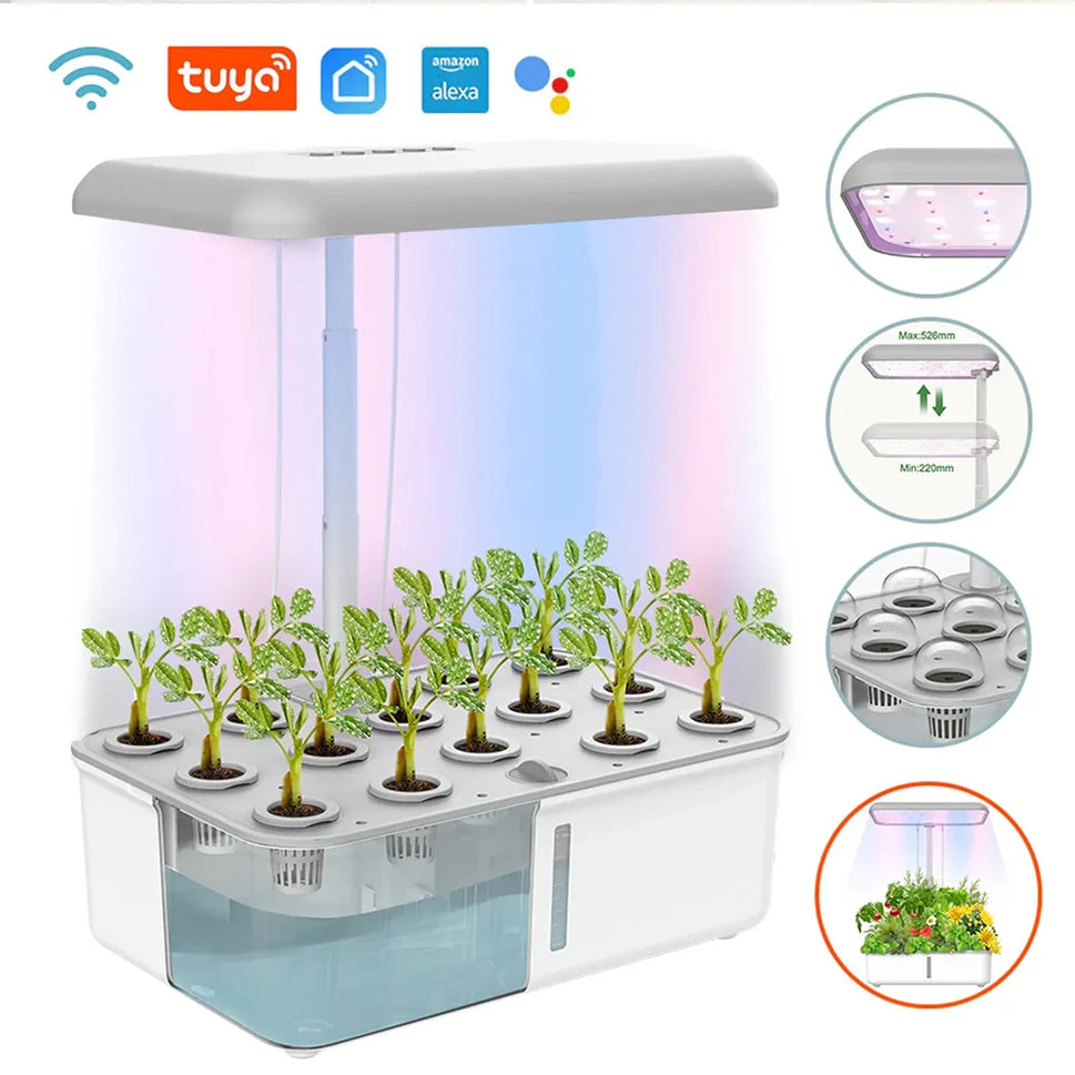 Tuya WiFi Plant Hydroponics System Growing LED Light Soilless Smart Planting Machine Self Watering Indoor Home Gardening Planter