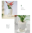 Lazy Hydroponic Flower Pot Automatic Water-Absorbing Flowerpot Transparent Double Layer Plastic Self Watering Planter Office