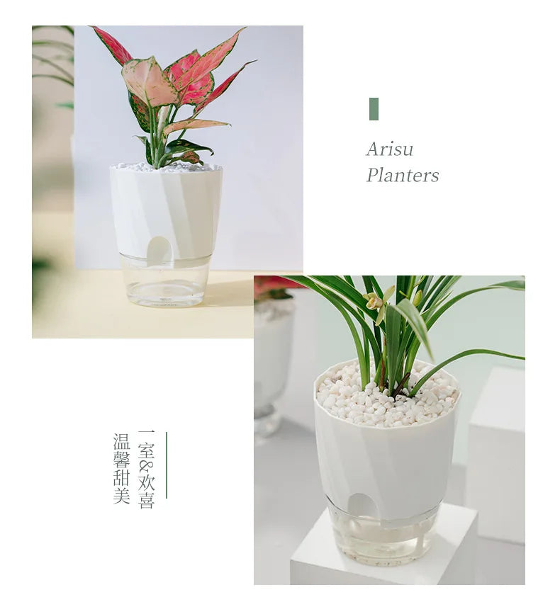 Lazy Hydroponic Flower Pot Automatic Water-Absorbing Flowerpot Transparent Double Layer Plastic Self Watering Planter Office