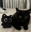 10cm Cute Black Cat plush toy Doll Small Pendant Cuddly Pillow Cushion Ins Black Cat Plush Toy Doll for Boy Girl Brithday Gifts