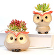 Ceramic Owl Flower Pot Garden Office Decoration Succulent Mini Owl Flowerpot Cute Animal Flowerpot Cactus Plants Planters