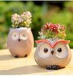 Ceramic Owl Flower Pot Garden Office Decoration Succulent Mini Owl Flowerpot Cute Animal Flowerpot Cactus Plants Planters