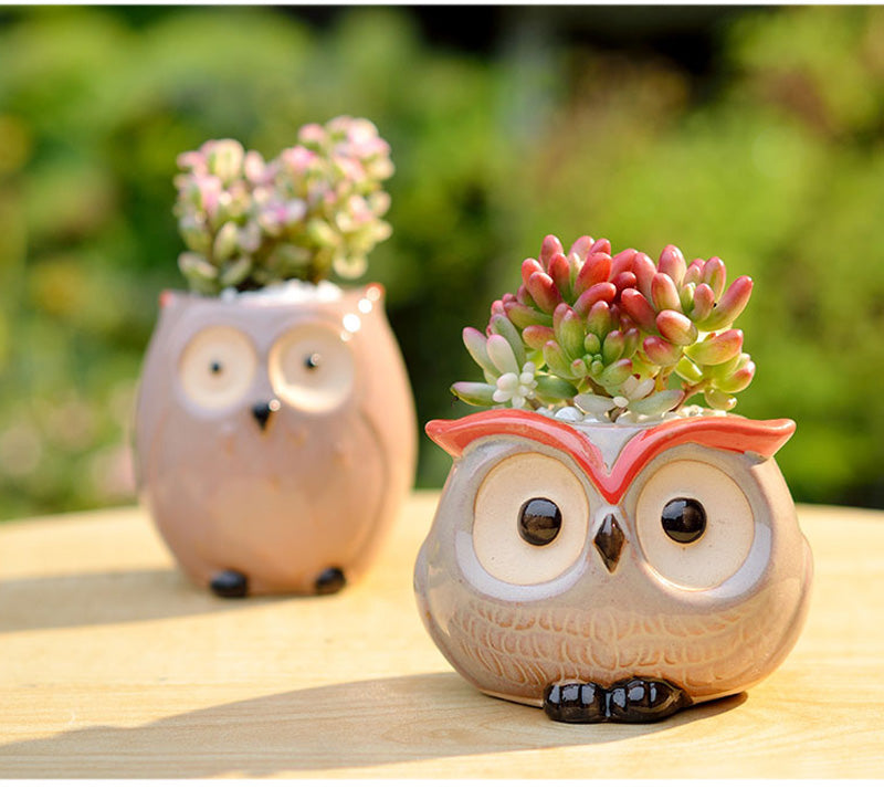 Ceramic Owl Flower Pot Garden Office Decoration Succulent Mini Owl Flowerpot Cute Animal Flowerpot Cactus Plants Planters