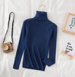 Women Turtleneck Sweater Knitted Soft Pullovers cashmere Jumpers Basic Solid Soft Sweaters Women Autumn Winter Casual Top