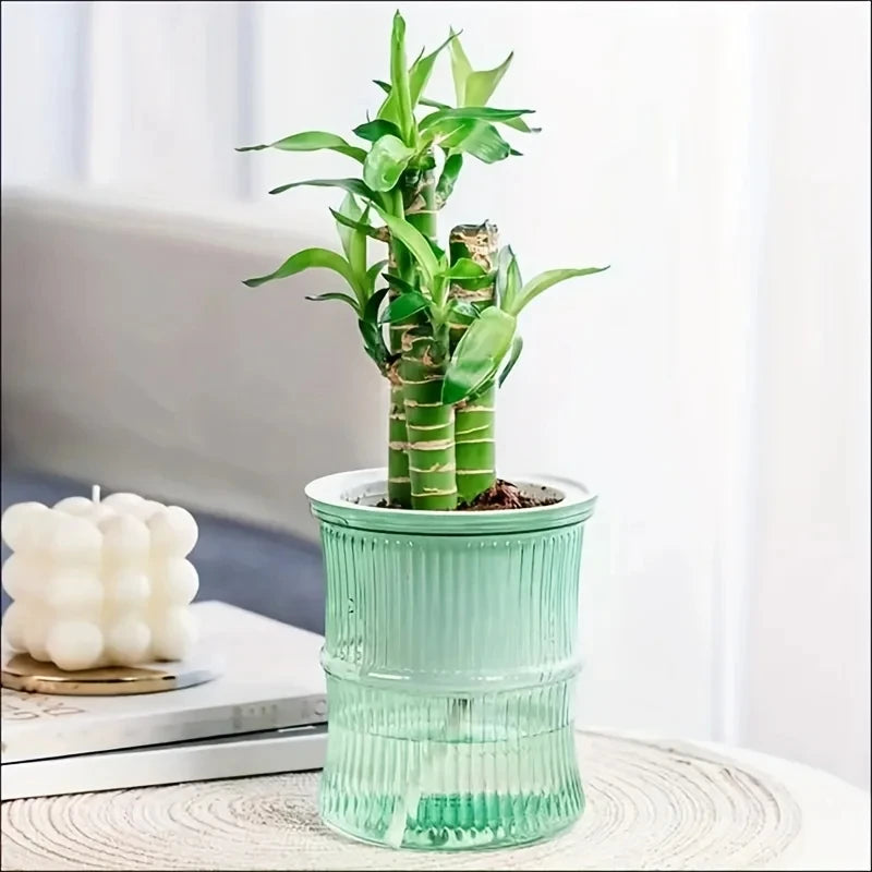 Lazy Hydroponic Flower Pot Automatic Water-Absorbing Flowerpot Transparent Double Layer Plastic Self Watering Planter Office