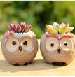 Ceramic Owl Flower Pot Garden Office Decoration Succulent Mini Owl Flowerpot Cute Animal Flowerpot Cactus Plants Planters