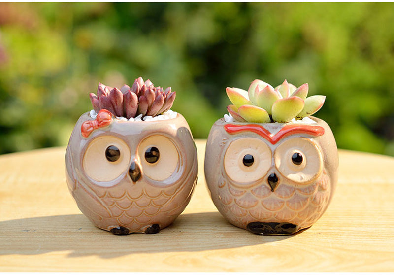 Ceramic Owl Flower Pot Garden Office Decoration Succulent Mini Owl Flowerpot Cute Animal Flowerpot Cactus Plants Planters