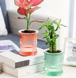 Lazy Hydroponic Flower Pot Automatic Water-Absorbing Flowerpot Transparent Double Layer Plastic Self Watering Planter Office