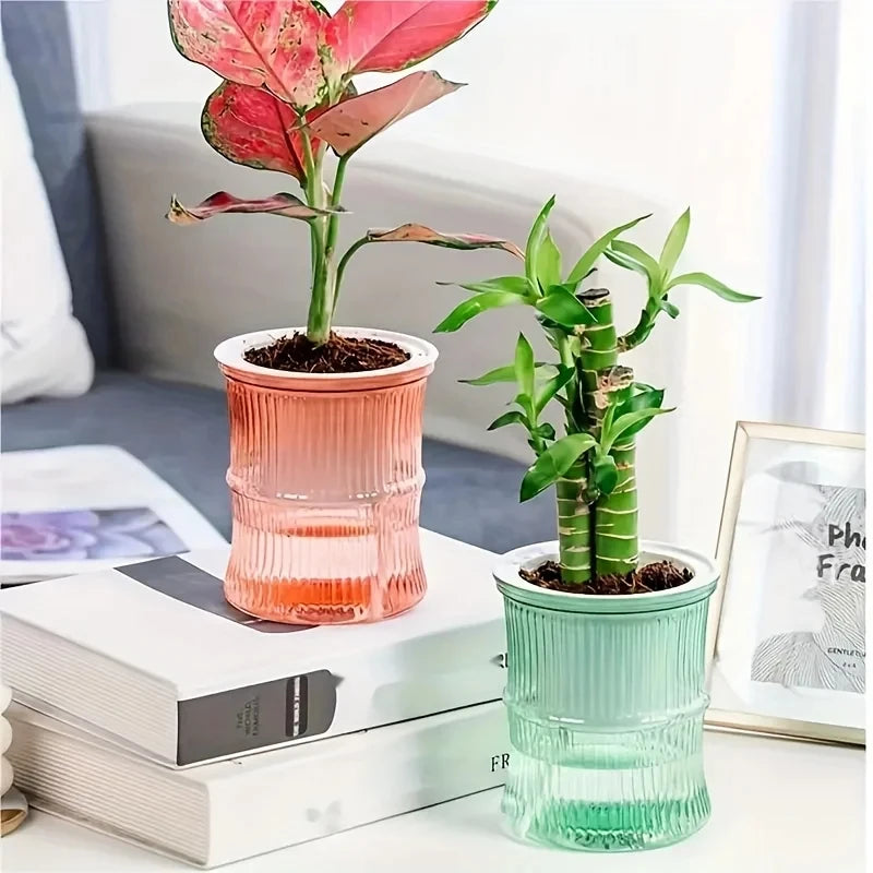 Lazy Hydroponic Flower Pot Automatic Water-Absorbing Flowerpot Transparent Double Layer Plastic Self Watering Planter Office