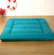 Japanese-style thickened tatami mattress floor mat soft cushion foldable lazy home sleeping pad bedroom floor artifact