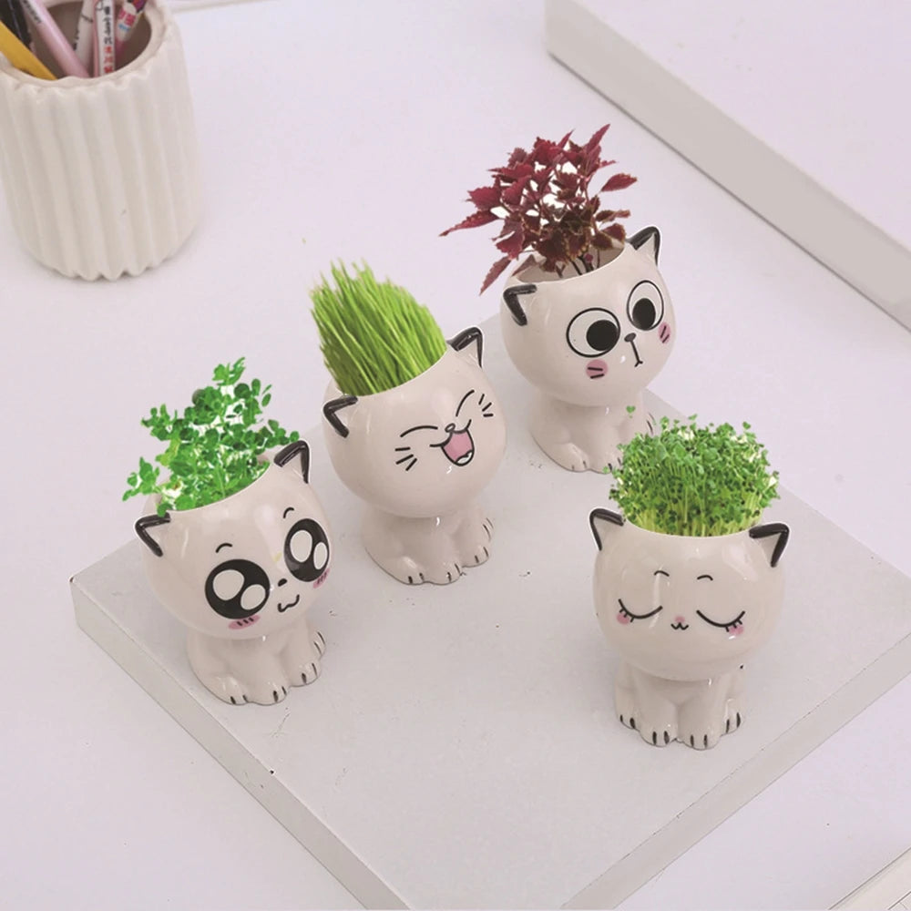 1pc Ceramic Flowerpot Mini Cat Cartoon Cute Plant Desktop Potted Plant Pot DIY Decorate Toys Science Education School Gifts