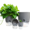 Transparent Double Layer Plastic Flower Pot Self Watering Flowerpot Cotton Rope Watering Small Plant Pot with Injection Port